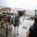 Verkoeling na een lange warme werkdag, Kilkenny, Ierland