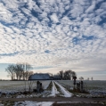 Eelswerd in de winter