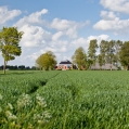 Boerderij bij St Annen, Groningen