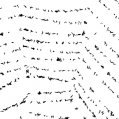 onweersbeestjes, oftewel knuut, in het spinnenweb
