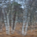 Berken