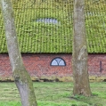 Boerderijdak met mos
