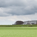 Boerderij bij Vierhuizen, Groningen