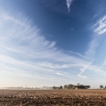 Zonnige herfstochtend op 't Hoogeland I